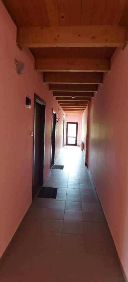 Pensiune Si Cazare La Mitza Giarmata Exterior photo